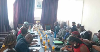 Lutte contre les violences faites aux femmes : la CDHC et le MINPROF renforcent leur front commun